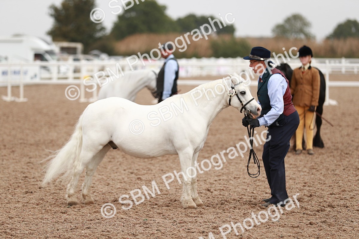 SBM_12503 - Class 207 IH M&M