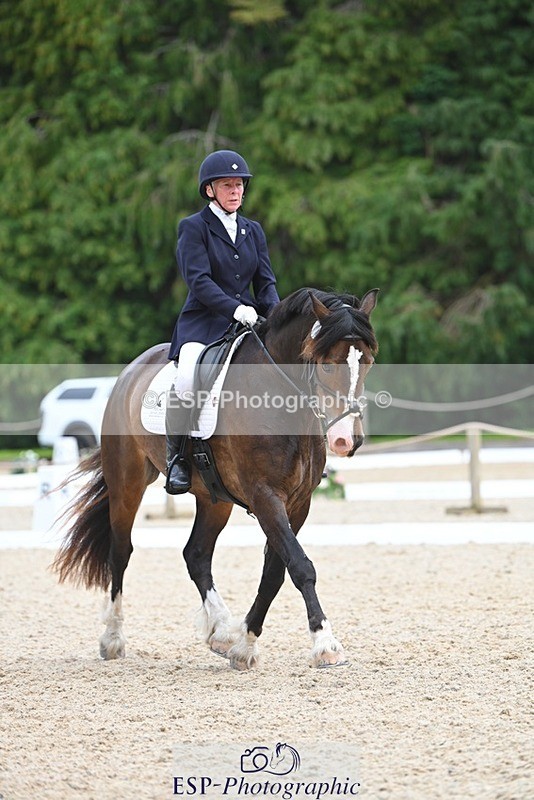 230813-140551-07677 - Cls 13 Medium Bronze 13.15 to End