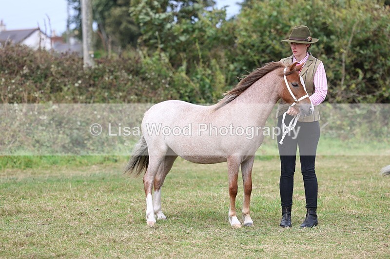 3E7A5404 - Class 19: Best Coloured in Hand