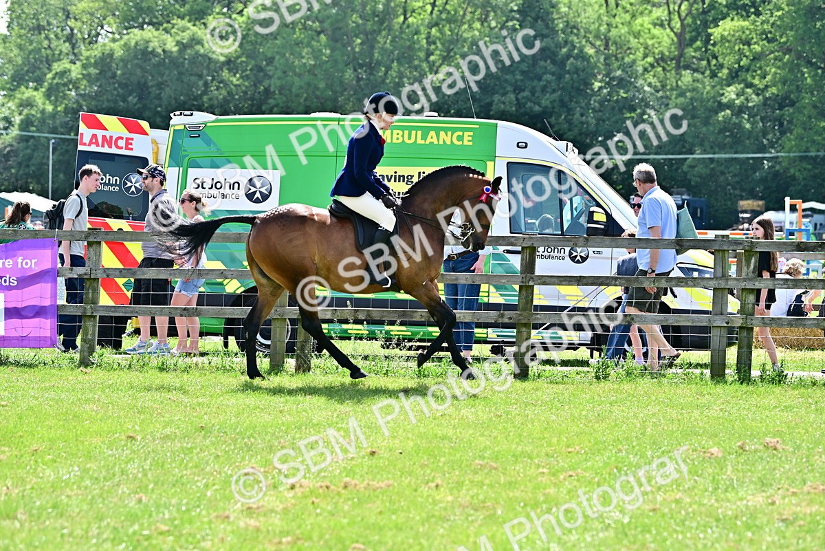 SBM_03727 - Class 58 - TSR  Ridden Veteran Amateur of the year