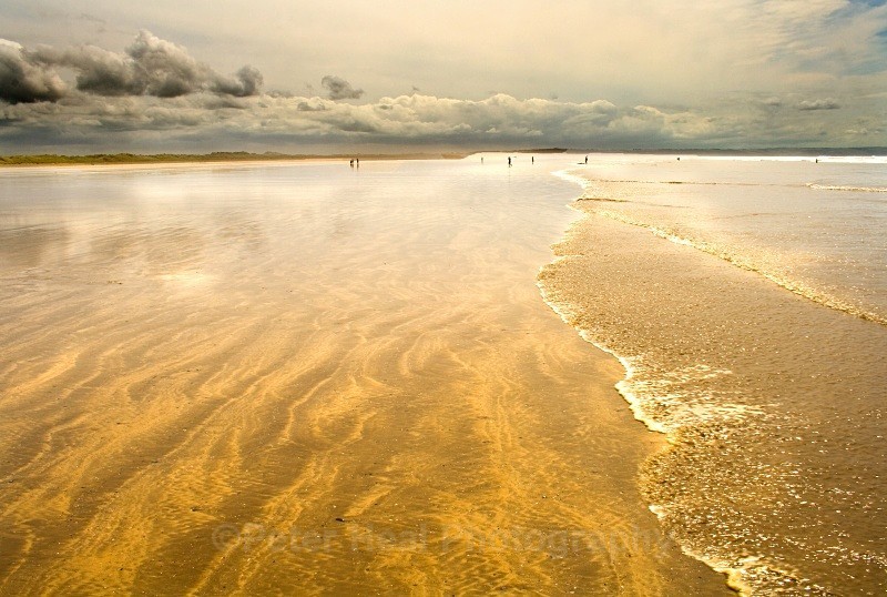 saunton