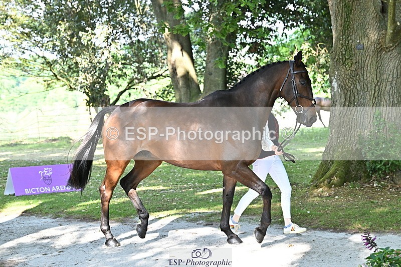 250521A-165038-01371 - C-266-Izzi.Best-BROCKAGH.DOR