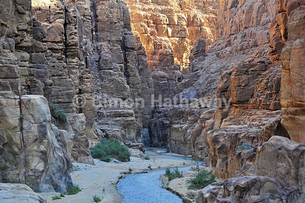  - Disappearing Dead Sea