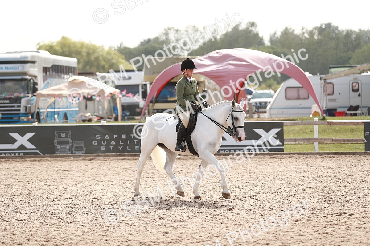 SBM_14850 - Class 212 Ridden Hunter - Small