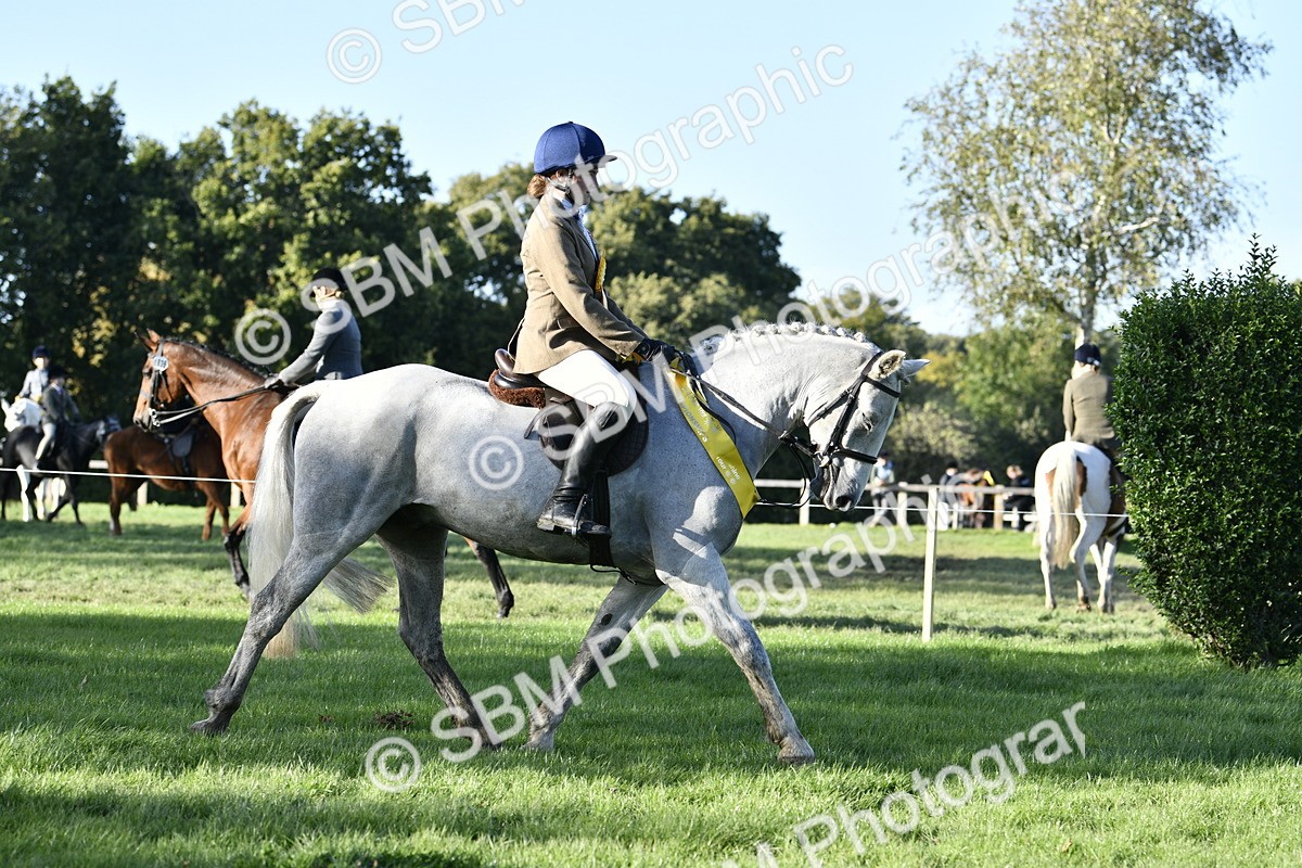 SBM_51702 - Working Hunter Supreme Championship