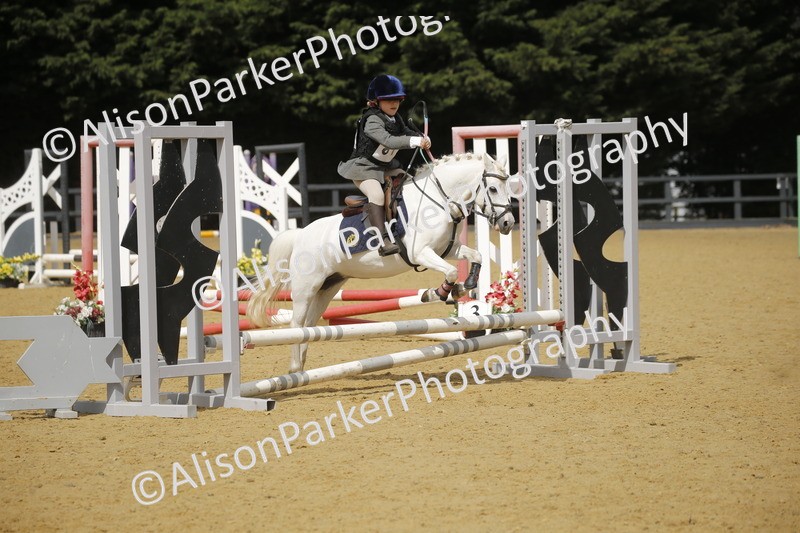 20250622-3715 - 50cm