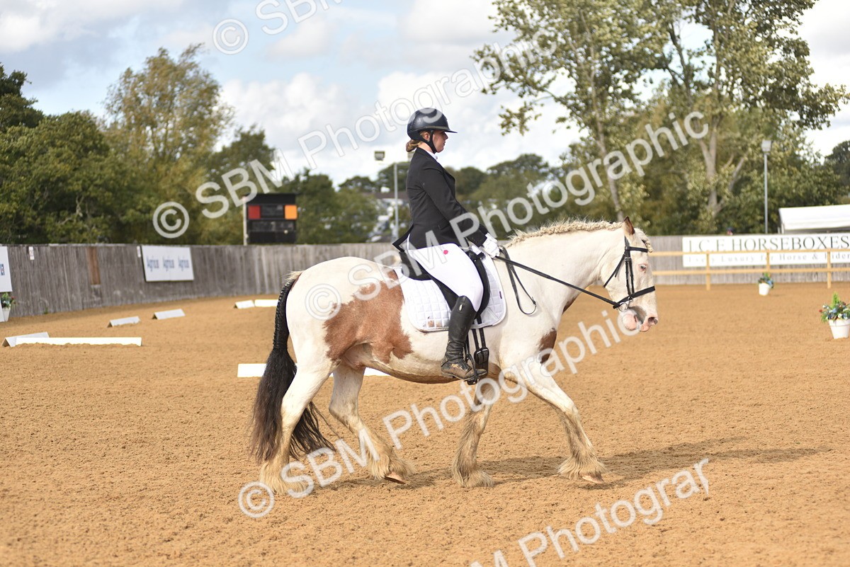 SBM_48865 - D22 - Junior Championship Intro 3