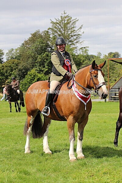 SIAL7535 - championships