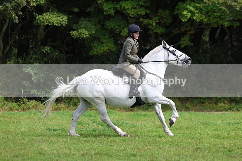 3E7A5869 - Class 26 and 27: 70cm Working Hunter