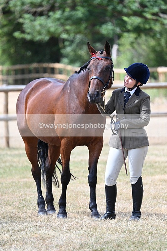 WJ7_2010 - Class 4a Prettiest Mare 14.2hh and over hand
