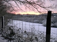 422jpg - Landscapes
