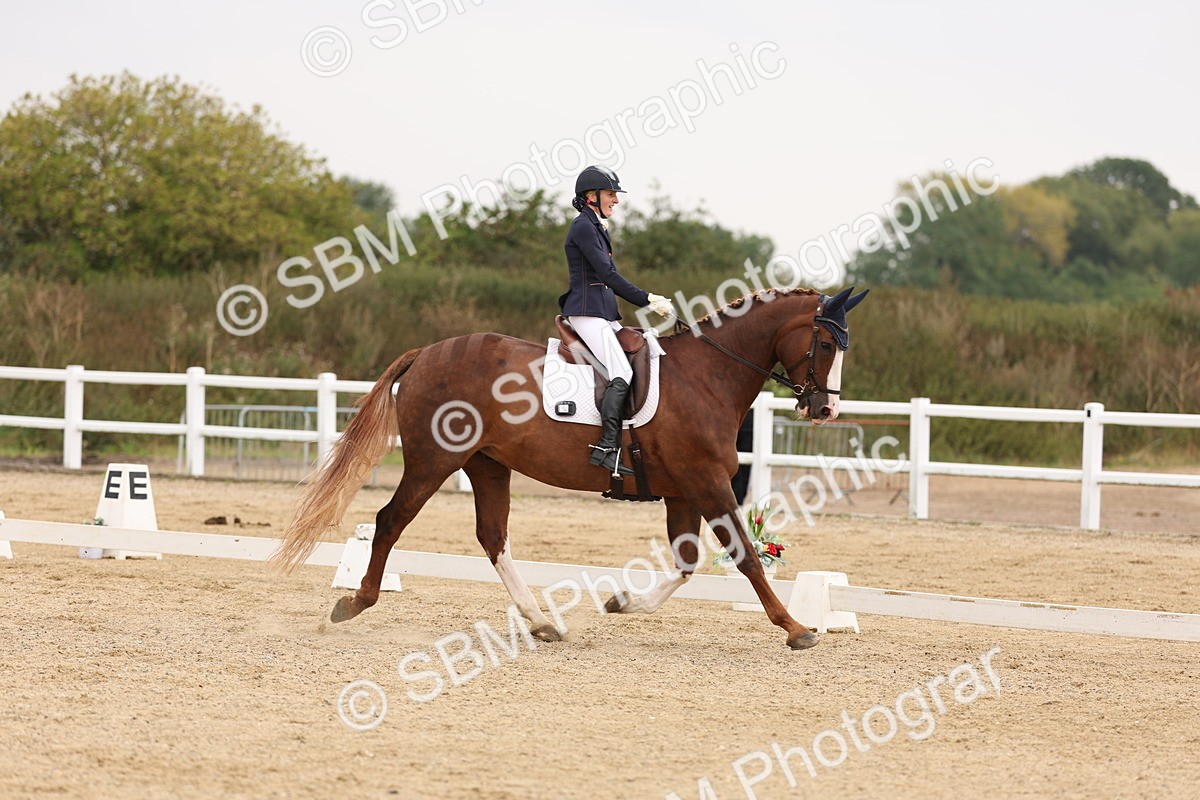 SBM_01642 - Class 9 - Novice 27 Champs