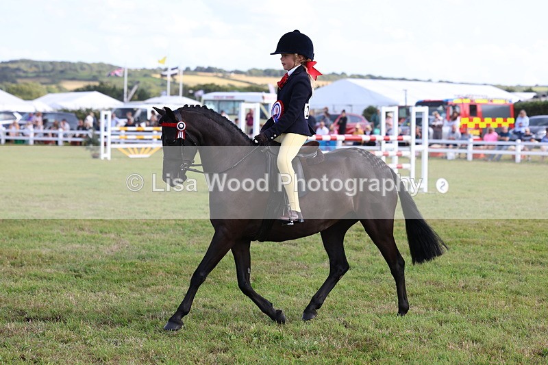 3E7A3968 - Supreme Championship