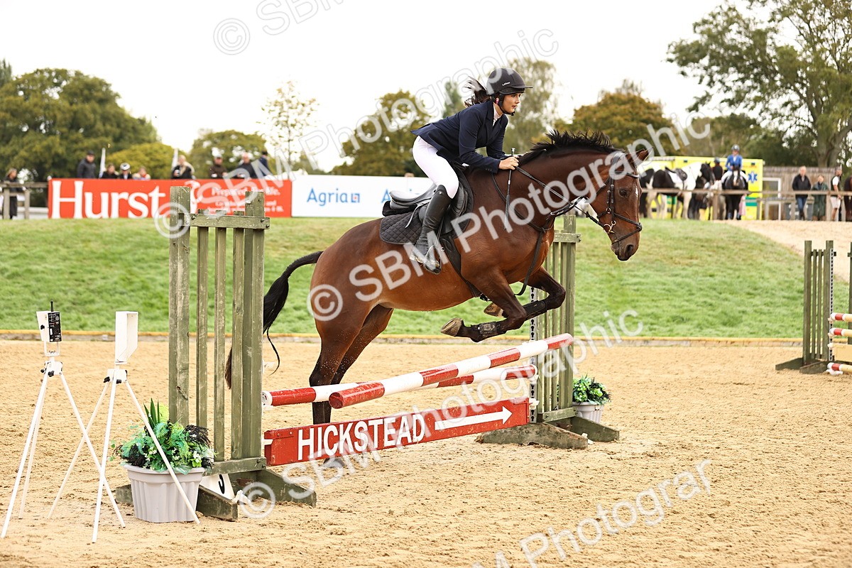 SBM_58359 - J41 - Grand Tour Horse & Pony 95cm