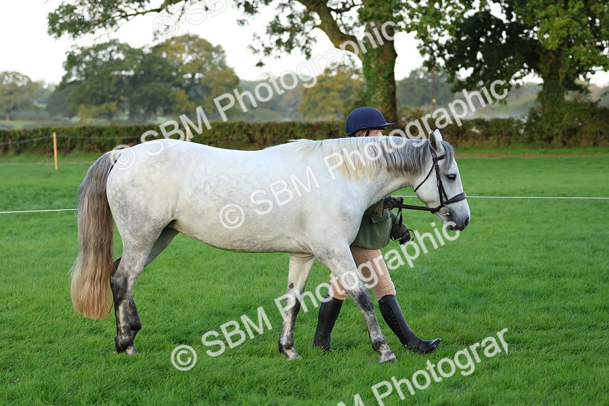 SBM_32743 - S8 - Best Turned Out