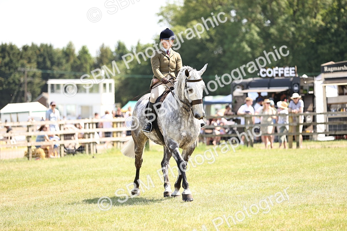SBM_16137 - Class 79-80 - LIHS BSHA Rising Star Ridden Hunter
