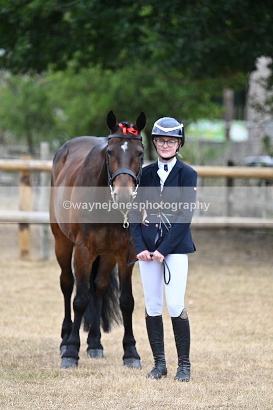 WJ7_0019 - Class 5a Most Handsome Gelding (above 14.2hh)