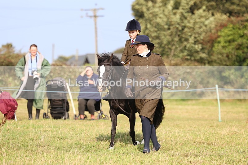 3E7A3725 - Class 2: Lead rein