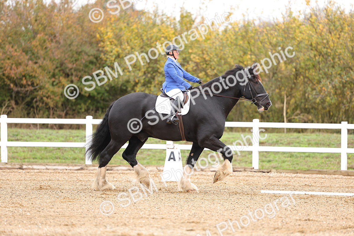 SBM_000084 - Intro 2