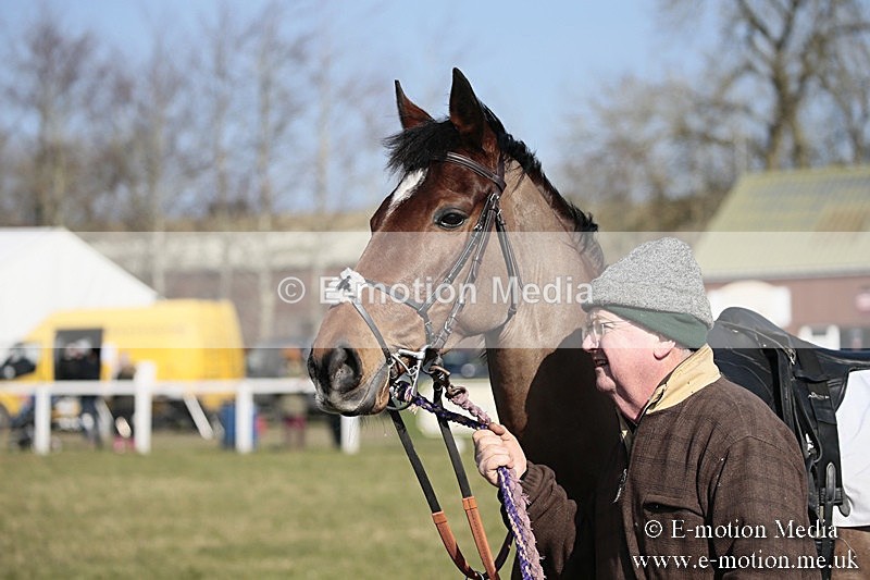 PtP 240218 116 - Vine & Craven Hunt Point-to-Point Barbury racecourse 24/02/18