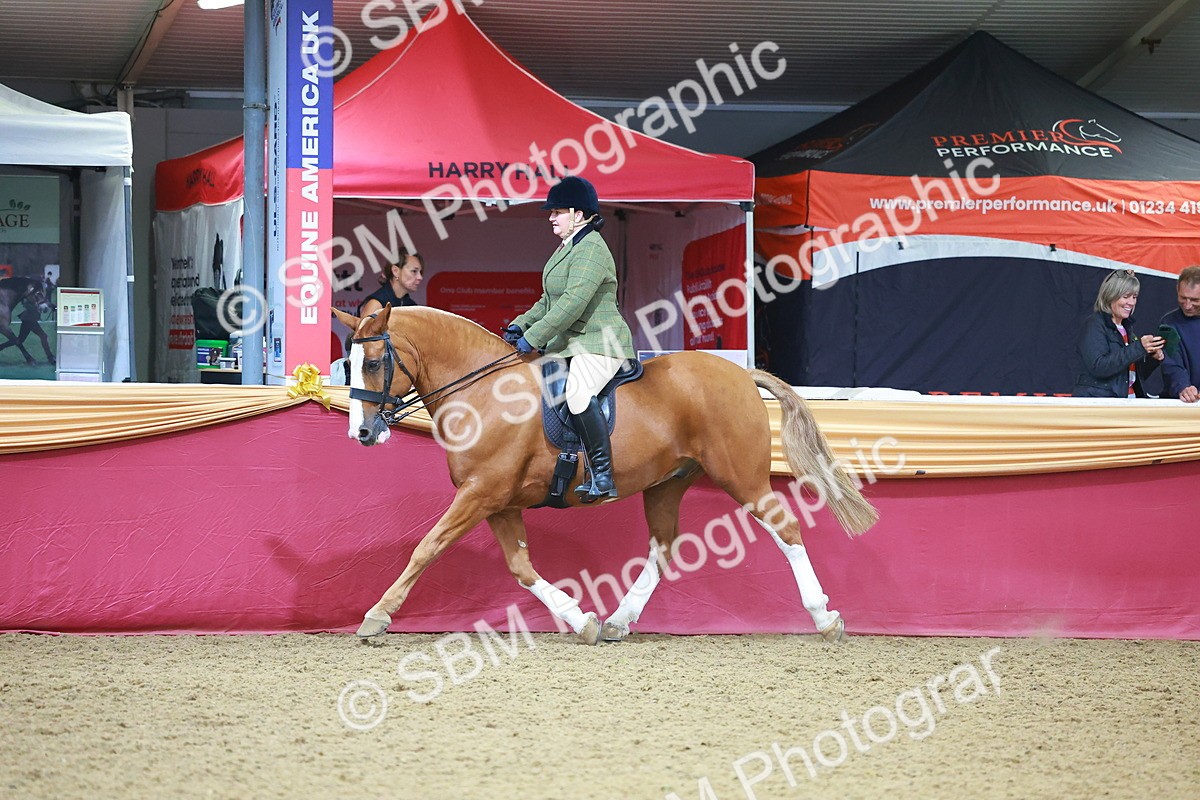 SBM_10672 - Class 103 - HOYS Veteran Qualifier - Ridden Pre Vet