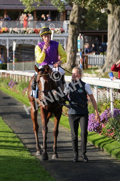 yr08102021r5-24 - Race 5 4.20pm Copper Knight - Winning Most Horse At York Handicap