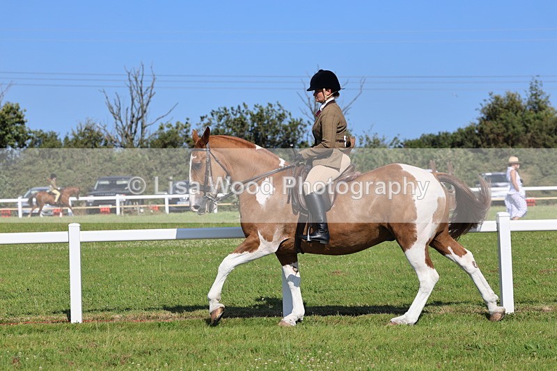 IMG_1649 - Skewbald and Piebald Ridden Championship