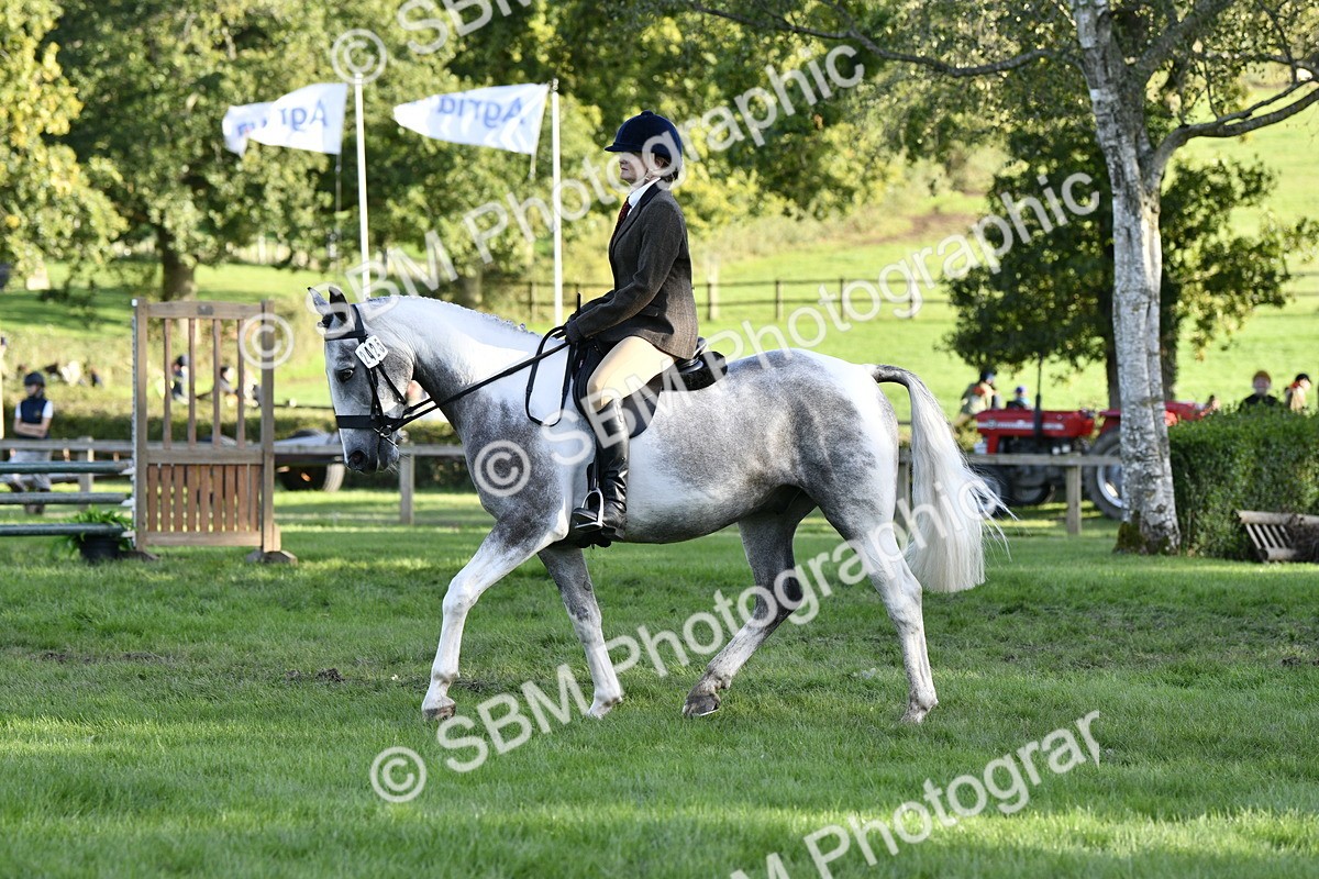 SBM_53518 - S14 - Riding Club Horse