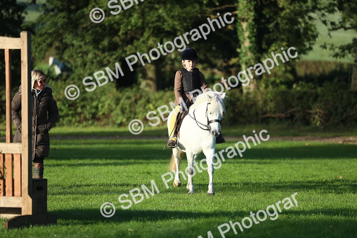 SBM_31789 - S28 - Nursery Stakes Working Hunter Pony