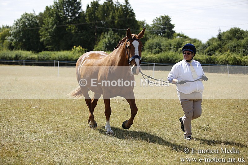 _C7A9736 - BVRC Sow 2018 Ring 2