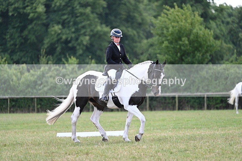 WJ7_5289 - Time 11:22 to 11:51