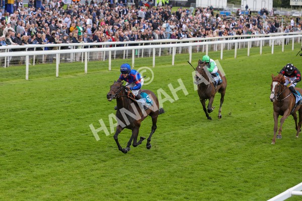 150624-Race 1-Lord Melbourne-6066 - Race 1 1.50pm Queen Mother's Cup Handicap