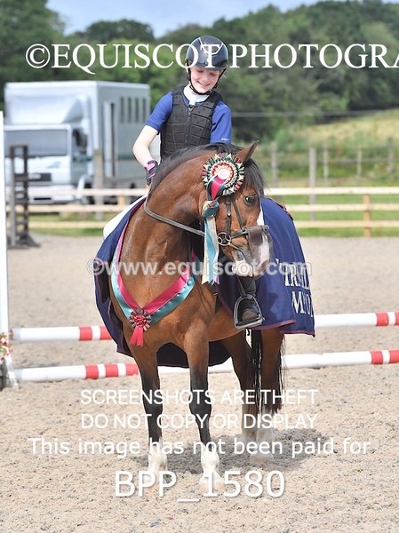 BPP_1580 - DERBY CLASS 3 - 40CM