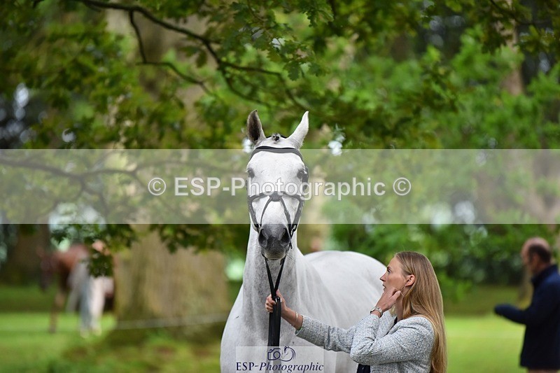 240522-172508-01594 - 286-ZIROCCO_VAN_DE_EIJKHOF_Z-Megan_Sanders