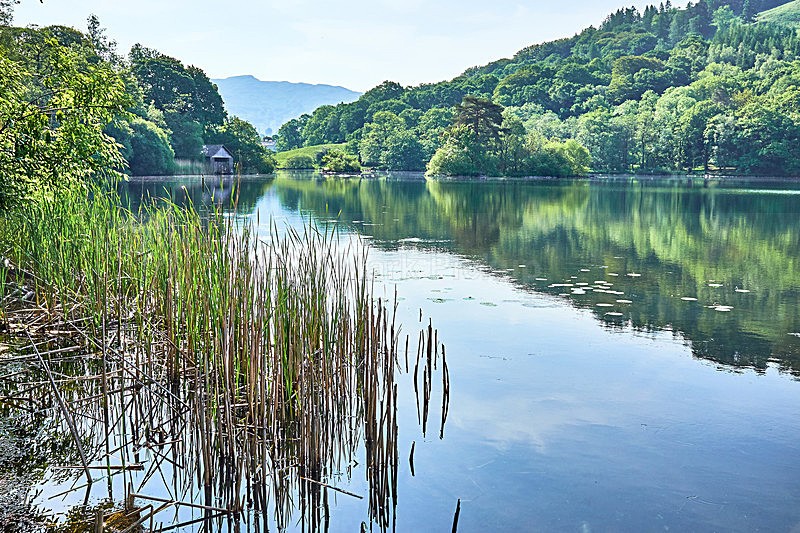 Rydal Water - Lake District Landscapes