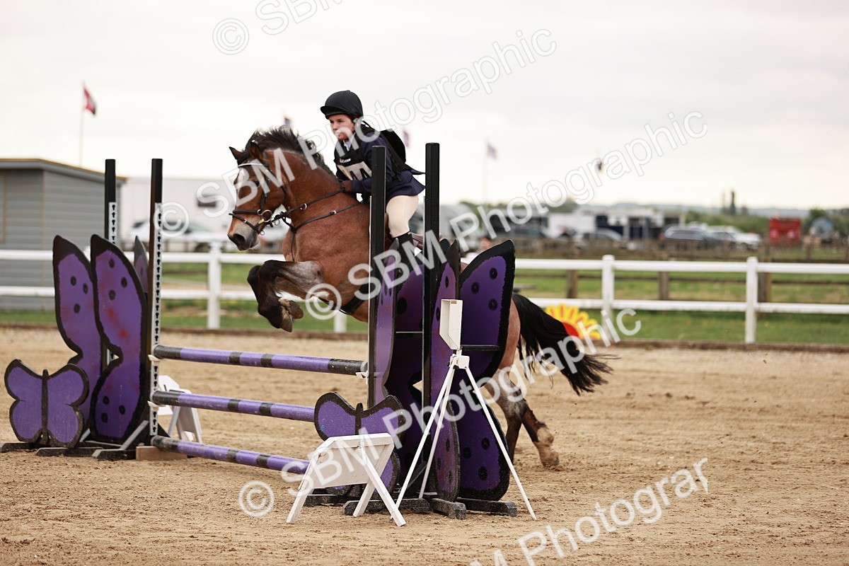 SBM_008897 - Class 5 - 80cm