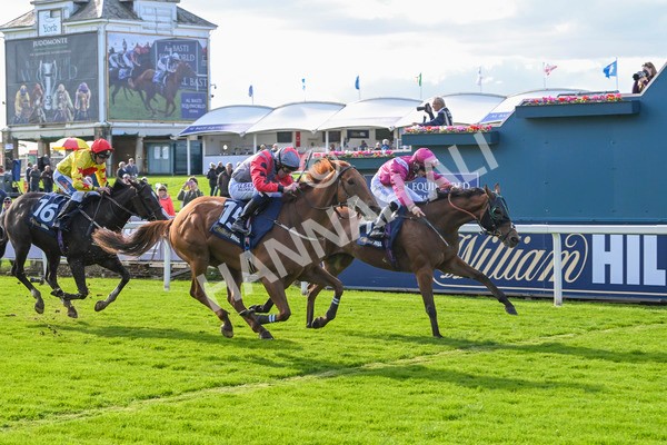 111024-Race 1-Empirestateofmind-1323 - Race 1 1.30pm William Hill Top Price Guarantee Autumn Handicap