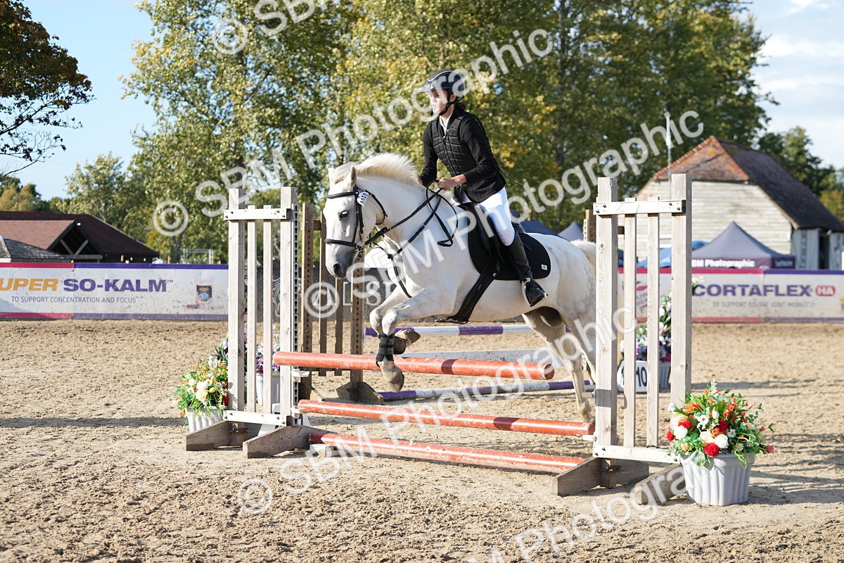 SBM_51200 - J8 - Junior Pony 65cm Championship