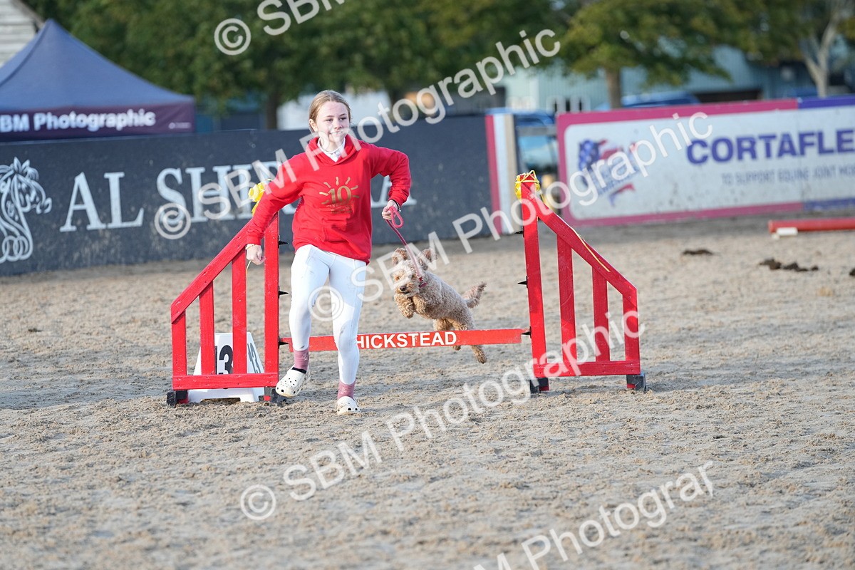 SBM_29483 - J44 - Horse & Hound Open 70cm