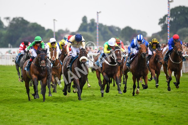 170623-Race 4-Quinault-0609 - Race 4 3.40pm Oakmere Homes Supporting Macmillan Sprint Handicap