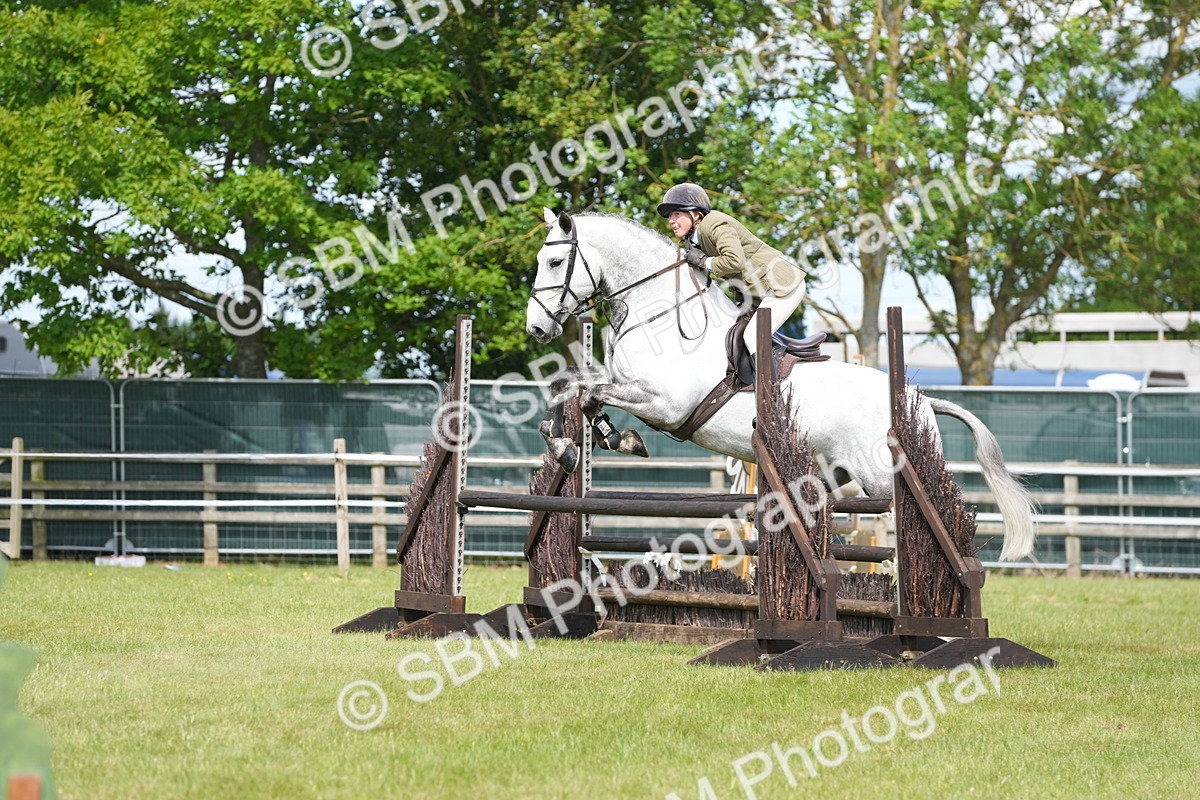SBM_14858 - Class 100-102 - RIHS Working Hunter