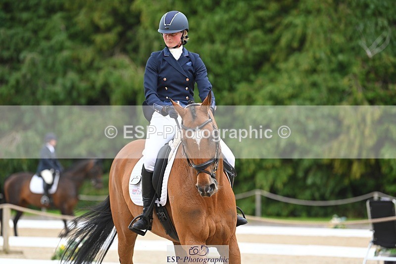 230813-132918-07581 - Cls 13 Medium Bronze 13.15 to End