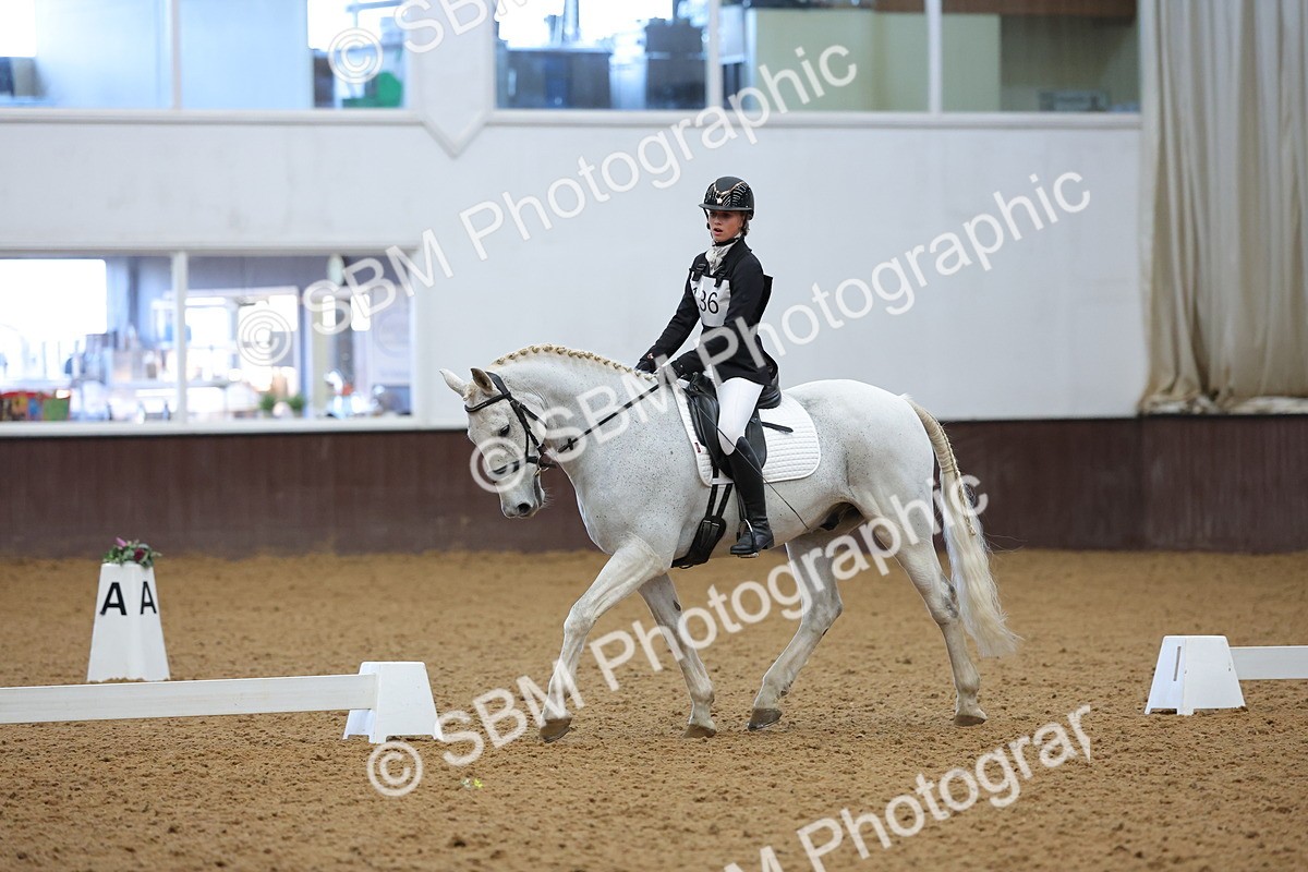 SBM_003745 - Novice