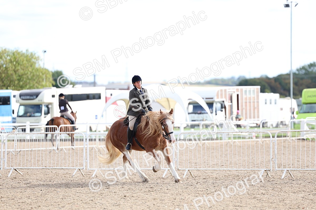 SBM_17263 - Class 315 - Best Horse - Rider Combination