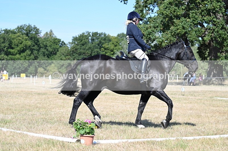 WJ7_9932 - Time 11:03 to 11:28