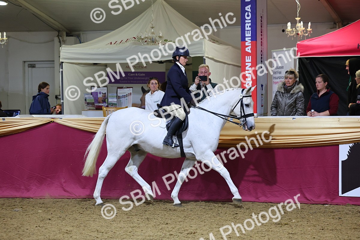 0B8A4452 - Class O Ridden Show Horse Champ
