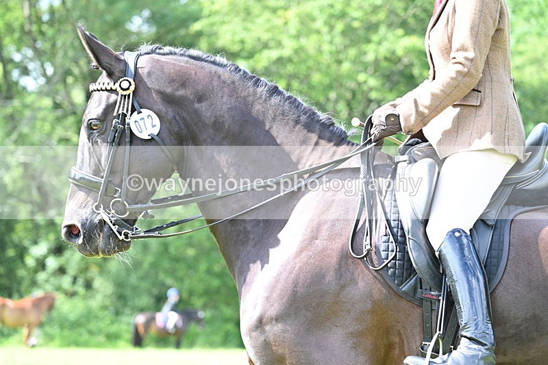 WJ7_1108 - Class 11 Condition & Turnout