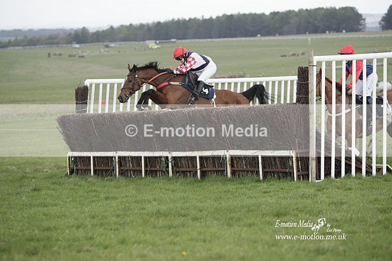 PtP 260323 0578 - New Forest Hounds Point-to-Point Larkhill 26/03/23