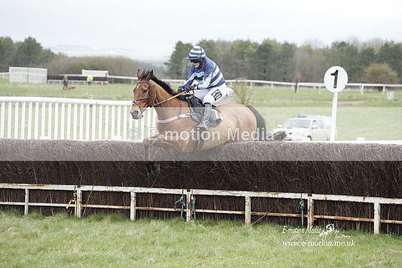 PtP 260323 0513 - New Forest Hounds Point-to-Point Larkhill 26/03/23