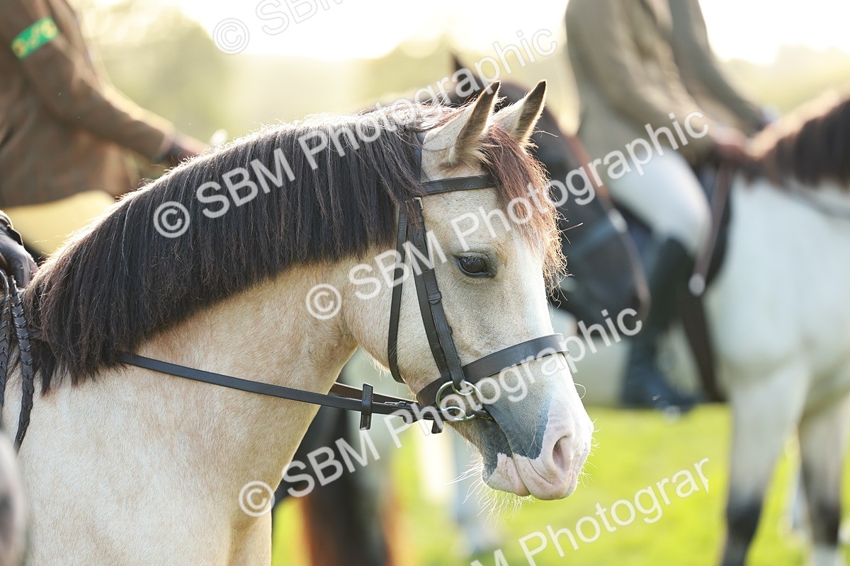 SBM_28799